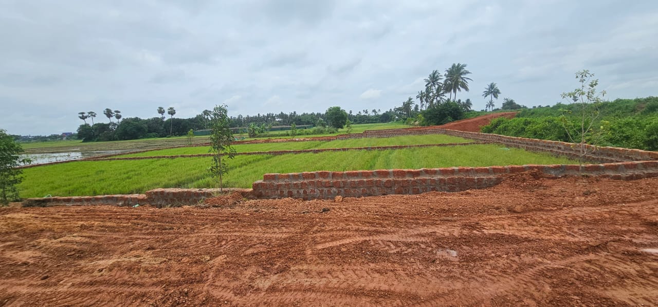 Project Site