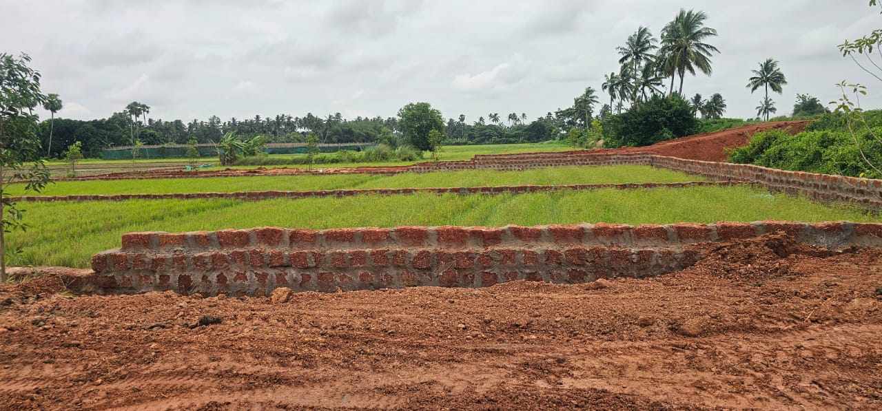 Project Site