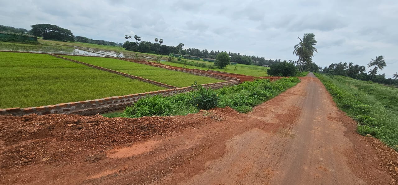 Project Site